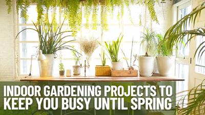 Indoor Projects To Help You Get Ready For Spring Gardening!