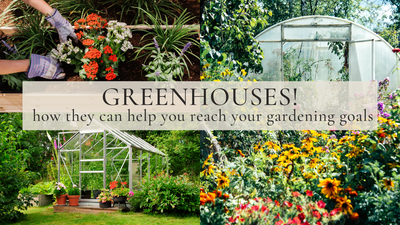 How A Greenhouse Can Help You Reach Your Gardening Goals