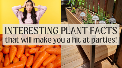 Fun plants and vegetable facts to wow your friends!