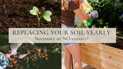 Replacing your soil: Necessary or NO-cessary?