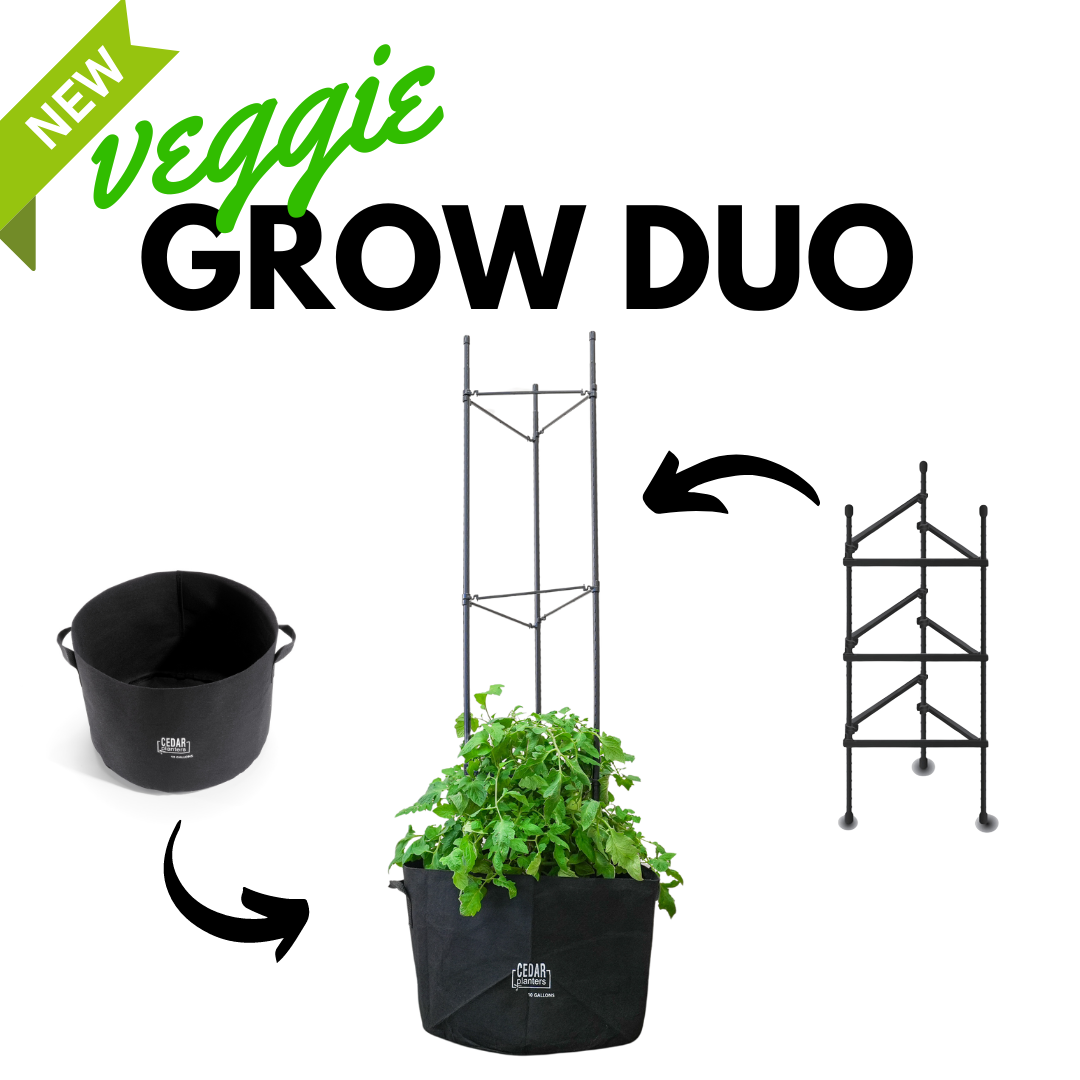 Veggie Grow Duo – Cedar Planters Canada