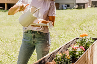 More Accessible Gardening