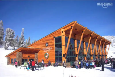 Other uses of Western Red Cedar