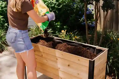 Control over growing conditions