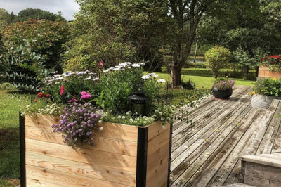 Stunning Gardens for Every Space