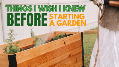Things I Wish I Knew Before Starting a Garden