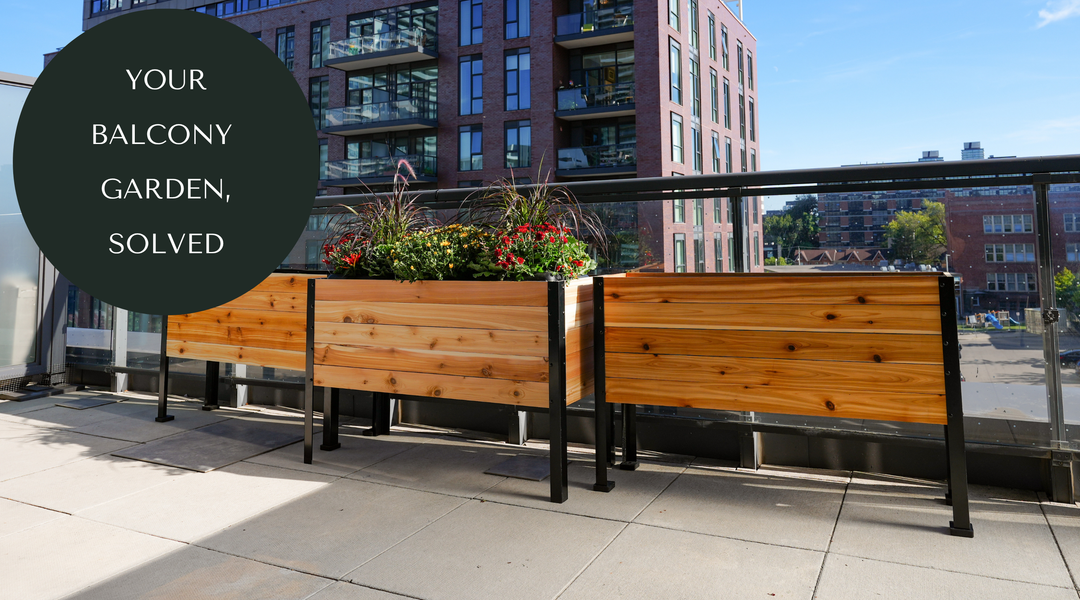 Can You Grow a Garden on Your Balcony? Here's How