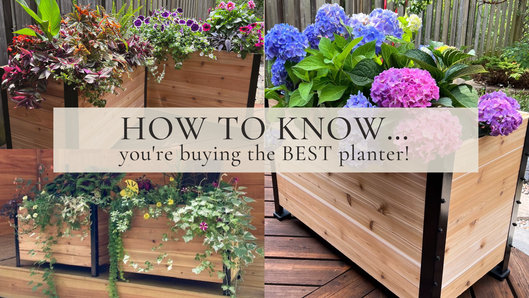How to Choose the Best Planter Box & Raised Garden Bed – Cedar Planters ...