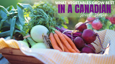 What Vegetables Grow Best in a Canadian Short Season