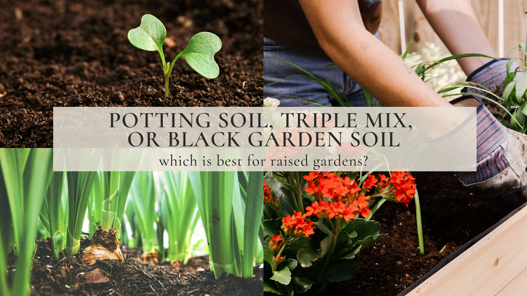 Potting Soil For Your Garden