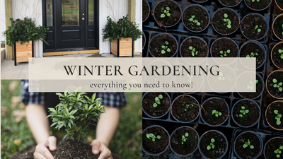 Winter Gardening - what you need to know!