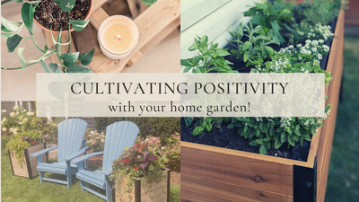 Cultivating Positivity With Your Home Garden