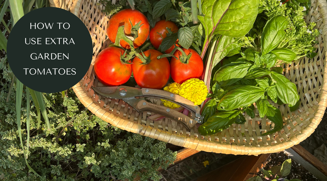 Too Many Tomatoes? 6 Ways to Use Your Harvest