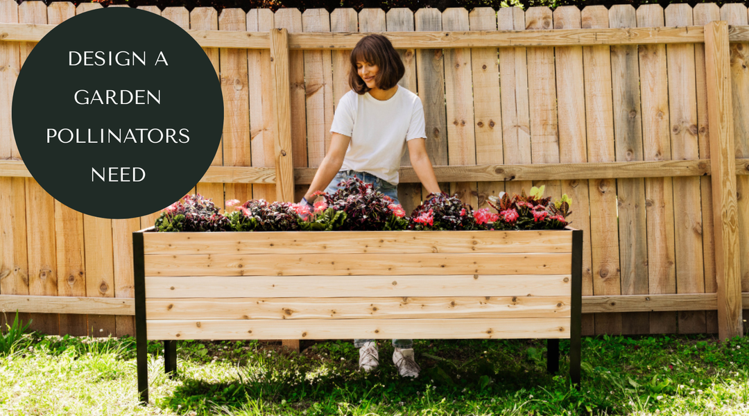 Grow a Pollinator Garden That Actually Works in Canada
