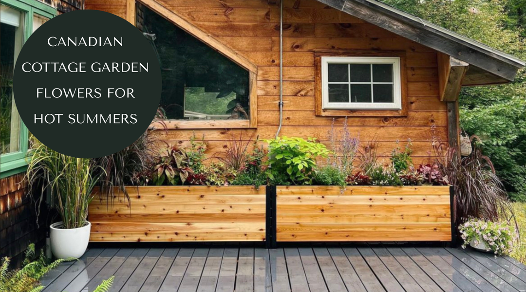 5 Best Cottage Garden Flowers for Raised Beds in Canada
