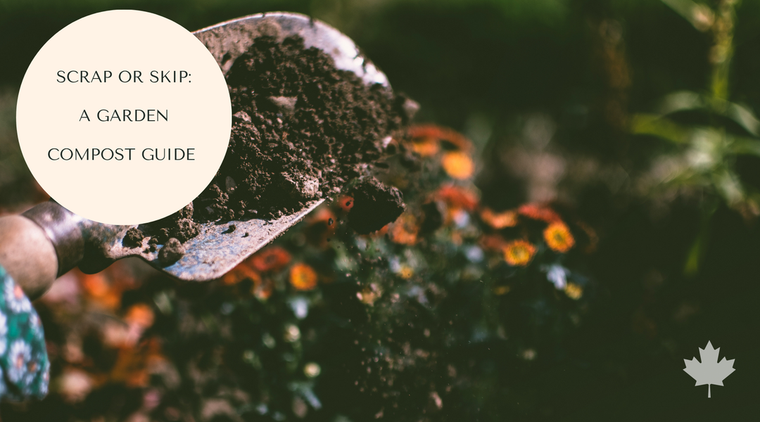 What You Can Actually Compost in Canadian Gardens