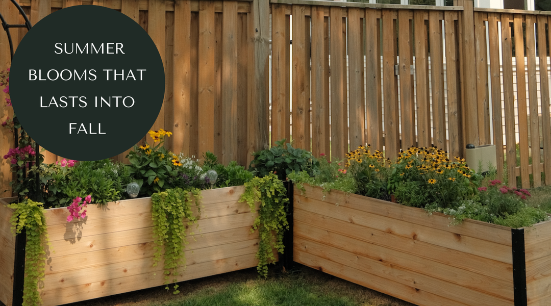 Perennials for Canadian Gardens That Bloom All Summer and Fall