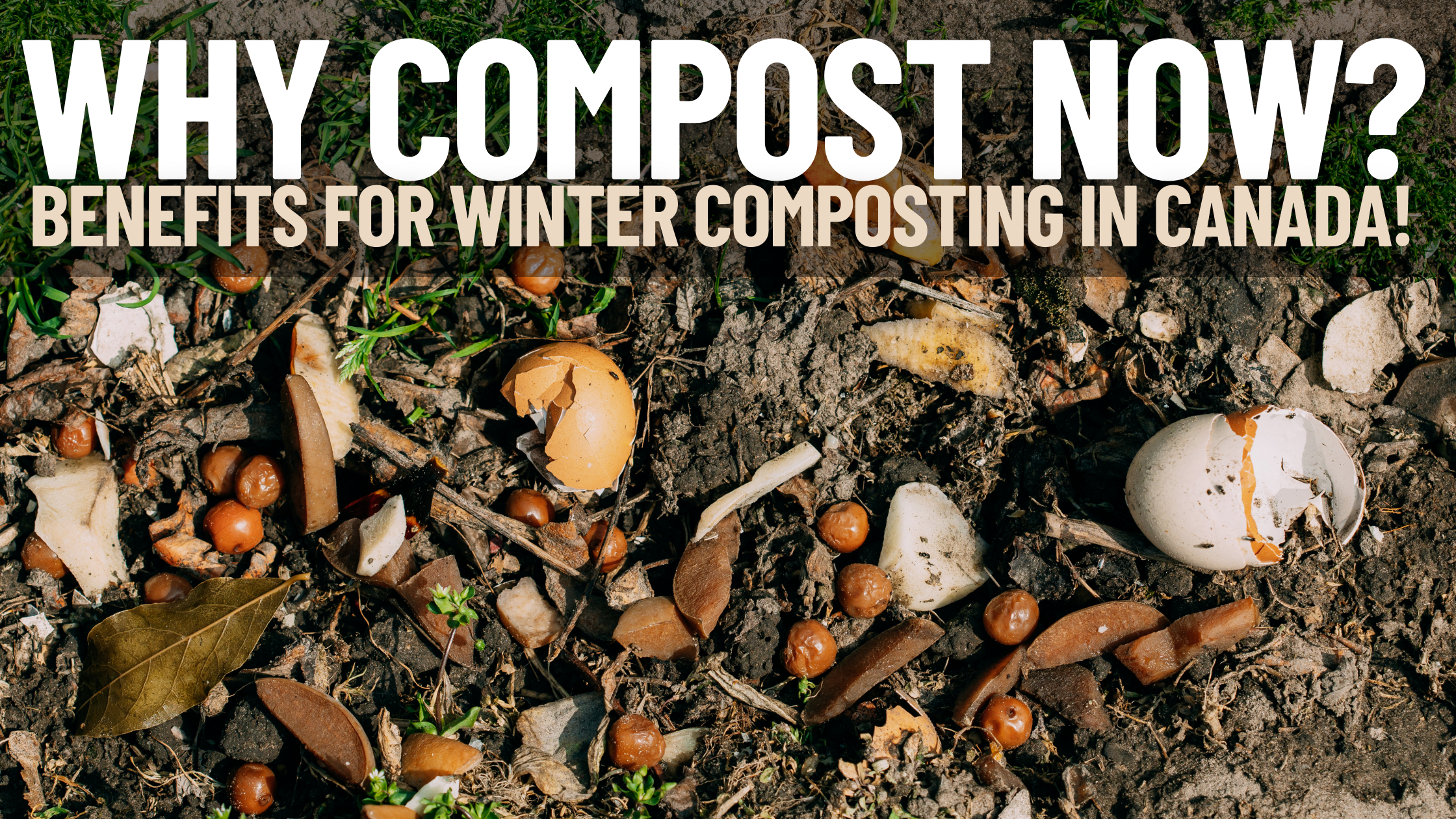 The Benefits Of Winter Composting In Canada – Cedar Planters Canada