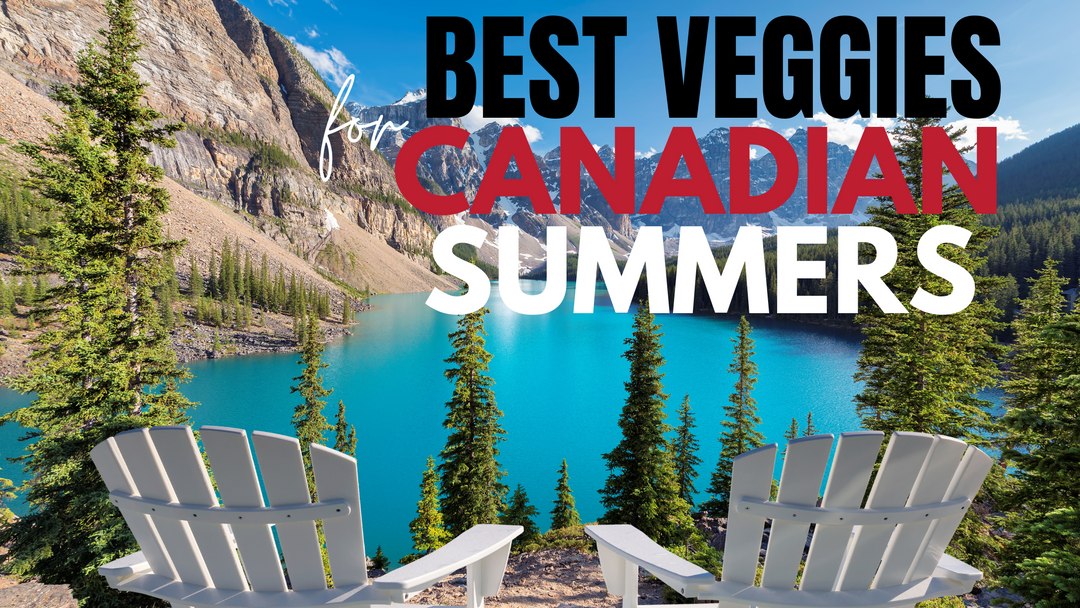 veggies to grow in canada
