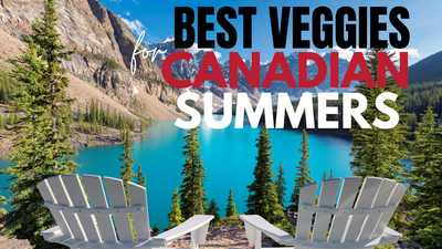 Best Vegetables for Canadian Summers