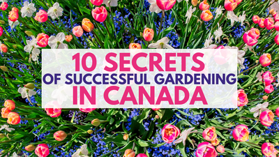 10 Secrets of Successful Gardening in Canada