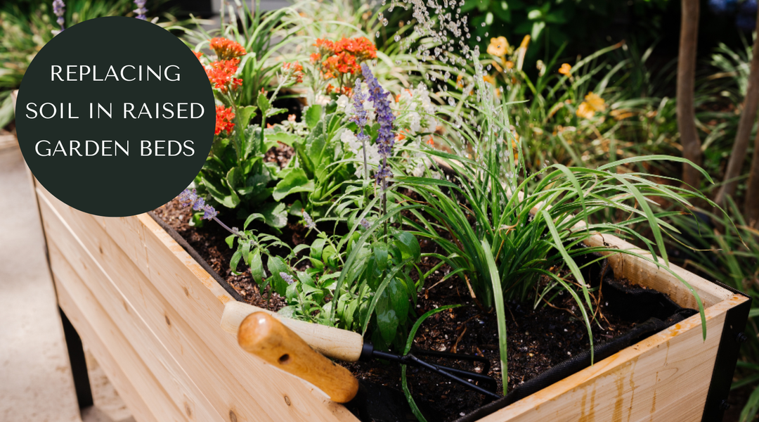 Do I need to replace the soil in my raised beds every year in Canada?