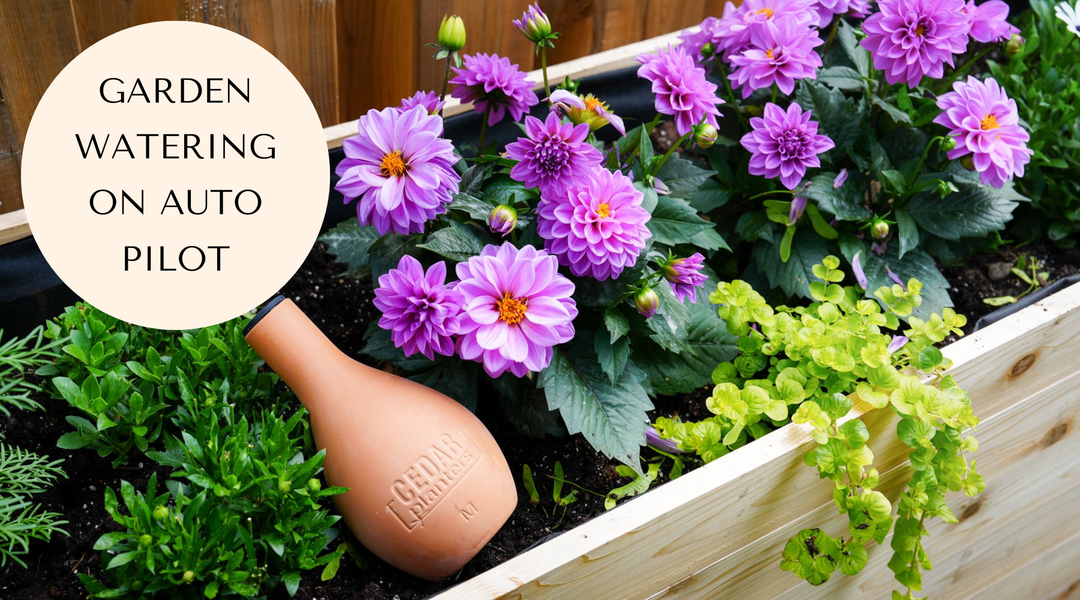 The Secret to Water Conservation in Canadian Gardens