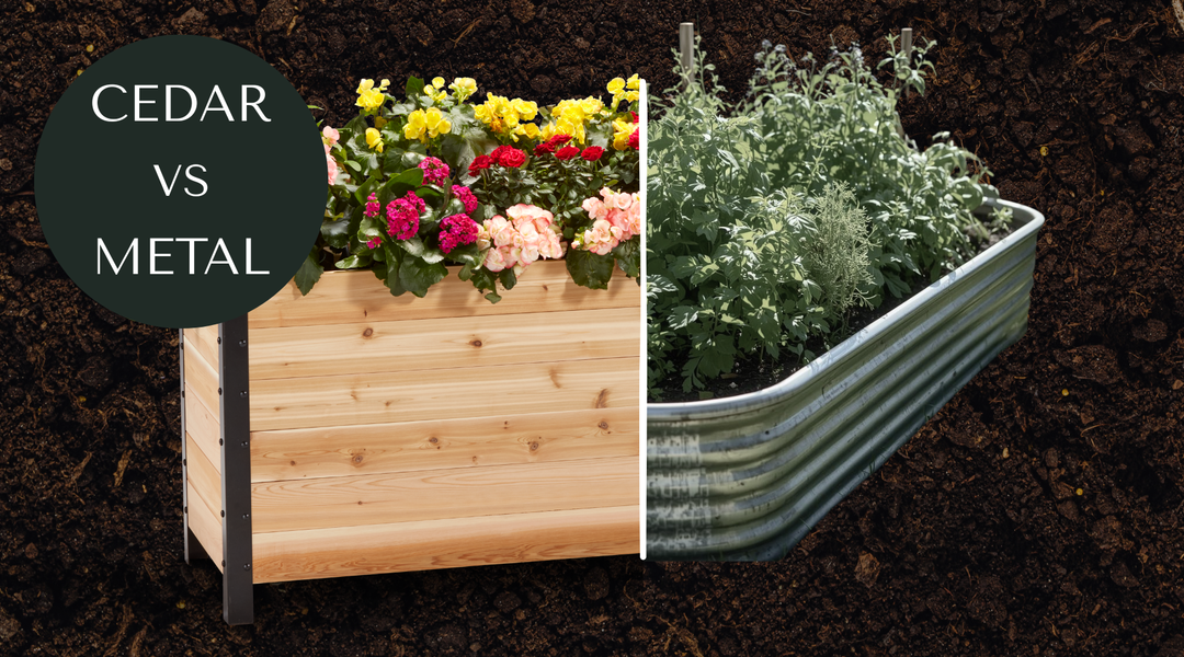 Do Canadian Gardeners Prefer Cedar Over Metal and Plastic for Spring?