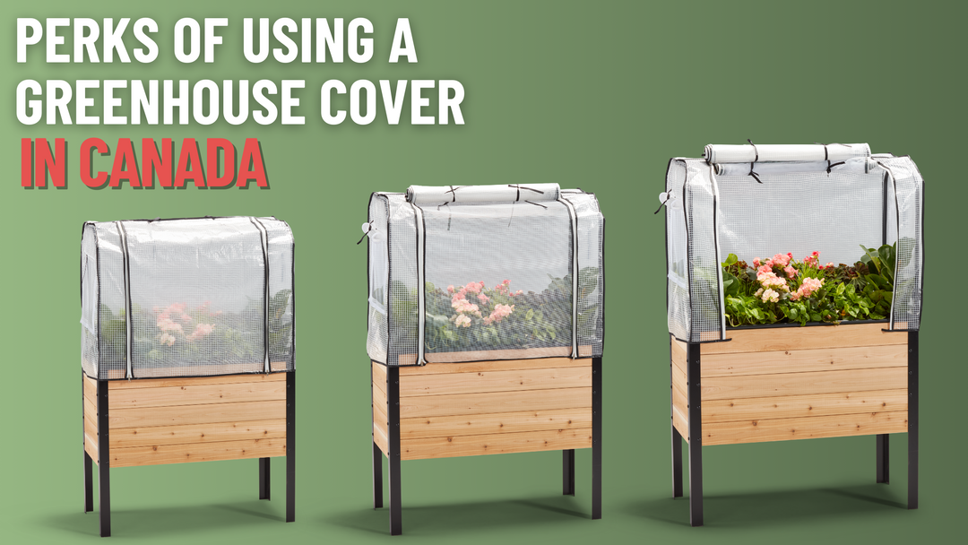 Perks Of Using A Greenhouse Cover In Canada