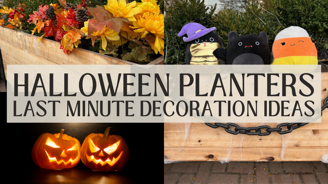 Halloween Decoration ideas for your garden