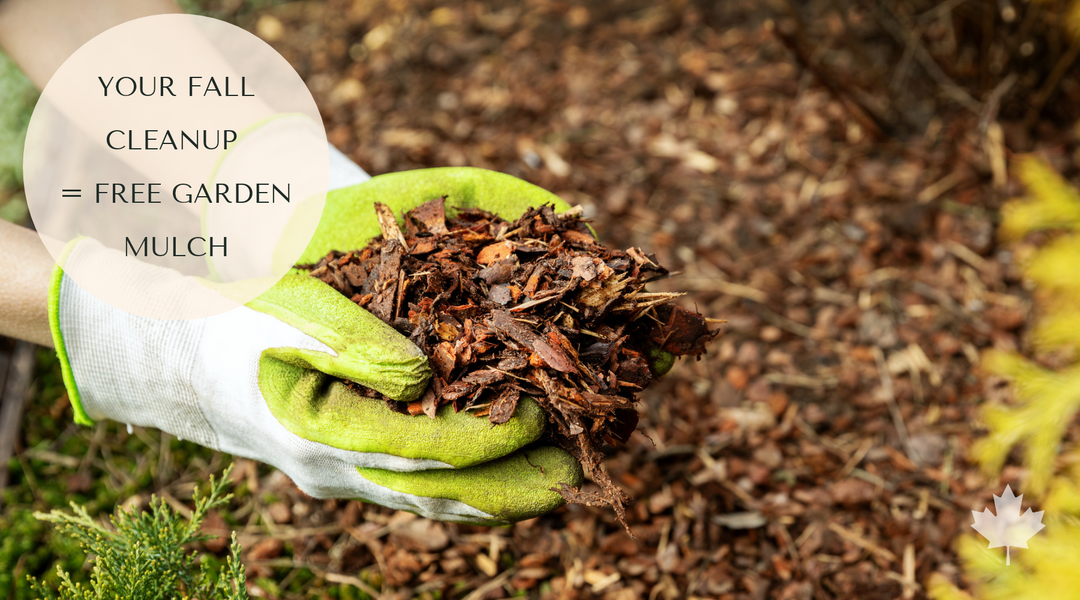 6 Free Mulch Materials for Raised Garden Beds