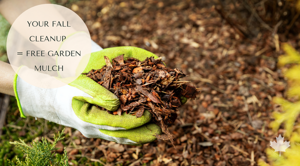 6 Free Mulch Materials for Raised Garden Beds