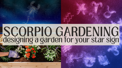 Scorpio Season Garden Ideas