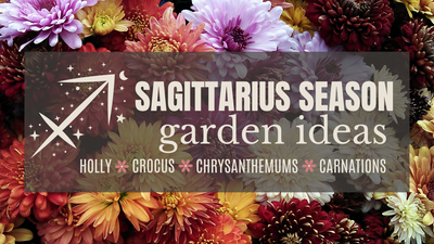 Sagittarius Season Garden Ideas