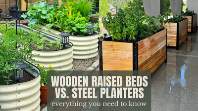 Wooden Raised Garden Beds vs. Metal Raised Garden Beds