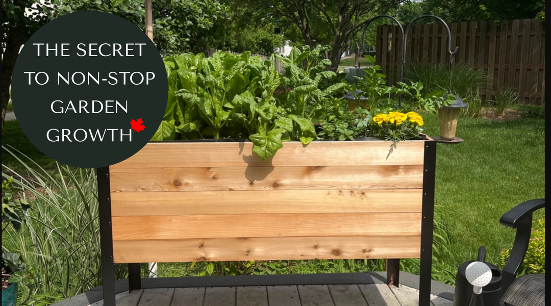How to Double Your Garden’s Output in a Short Growing Season