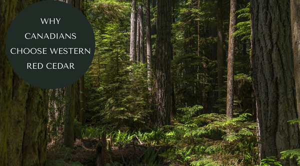 Why Canadian Gardeners Choose Western Red Cedar