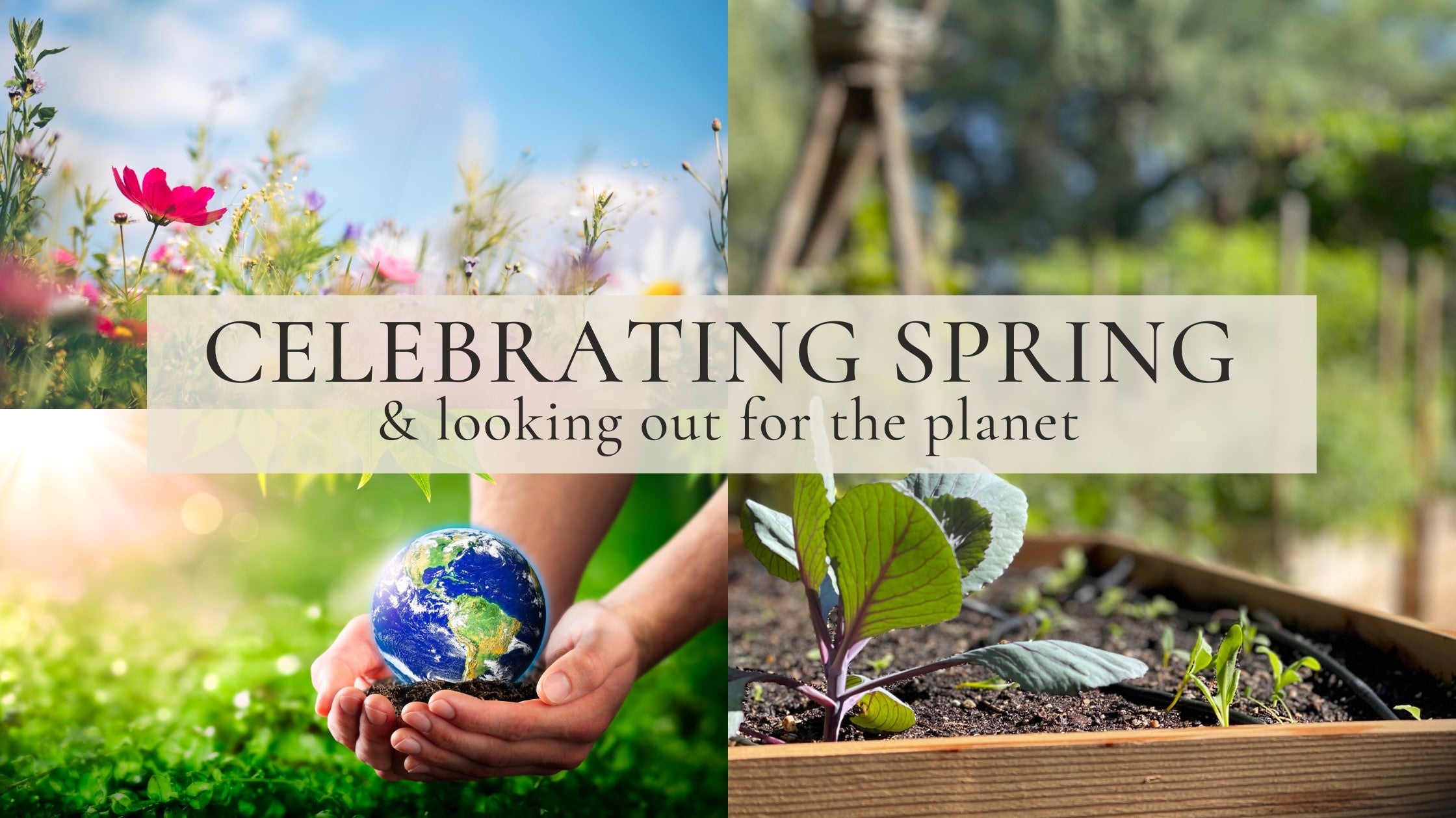Small Spring Article Spring Gardening Guide: Plant Ideas & Cedar Planters – Cedar Planters ...
