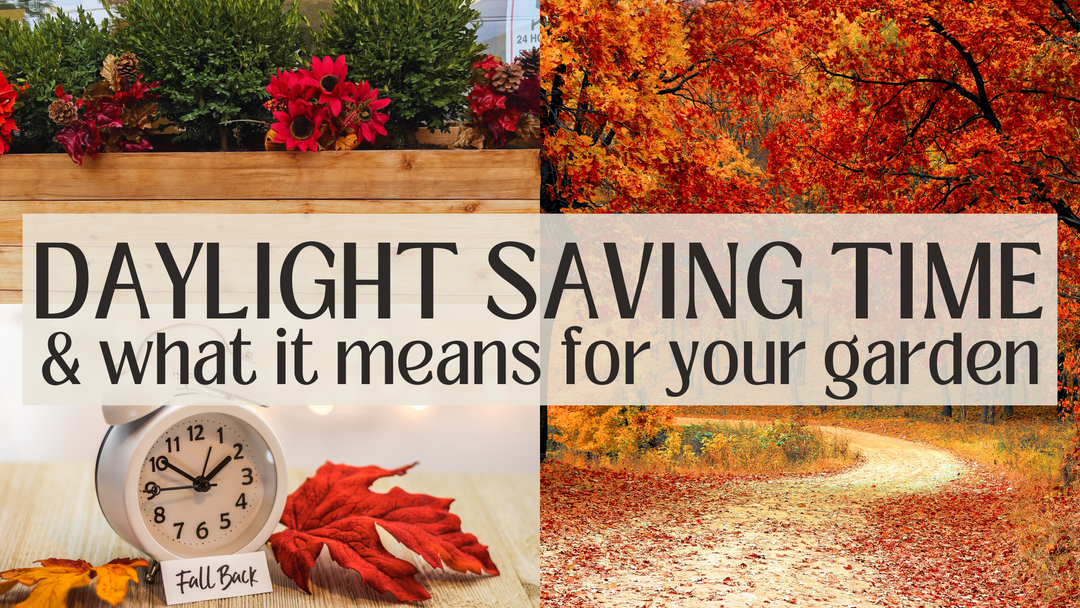 Daylight Saving & Your Garden