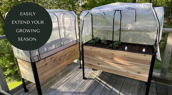 Your Cedar Planters Has One More Harvest Left in It
