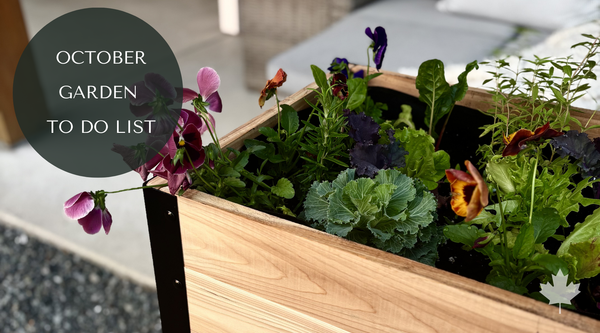 What to Do in the Garden in October: A Canadian To-Do List