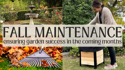 Tips for maintaining your garden through the Fall