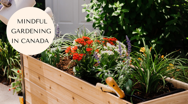 Gardening Thats Good for You: 5 Surprising Health Benefits for Canadians