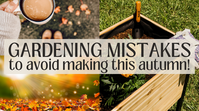 Gardening Mistakes You Should Avoid This Fall