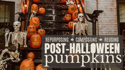Composting your Pumpkins