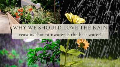 Why We Should Love The Rain