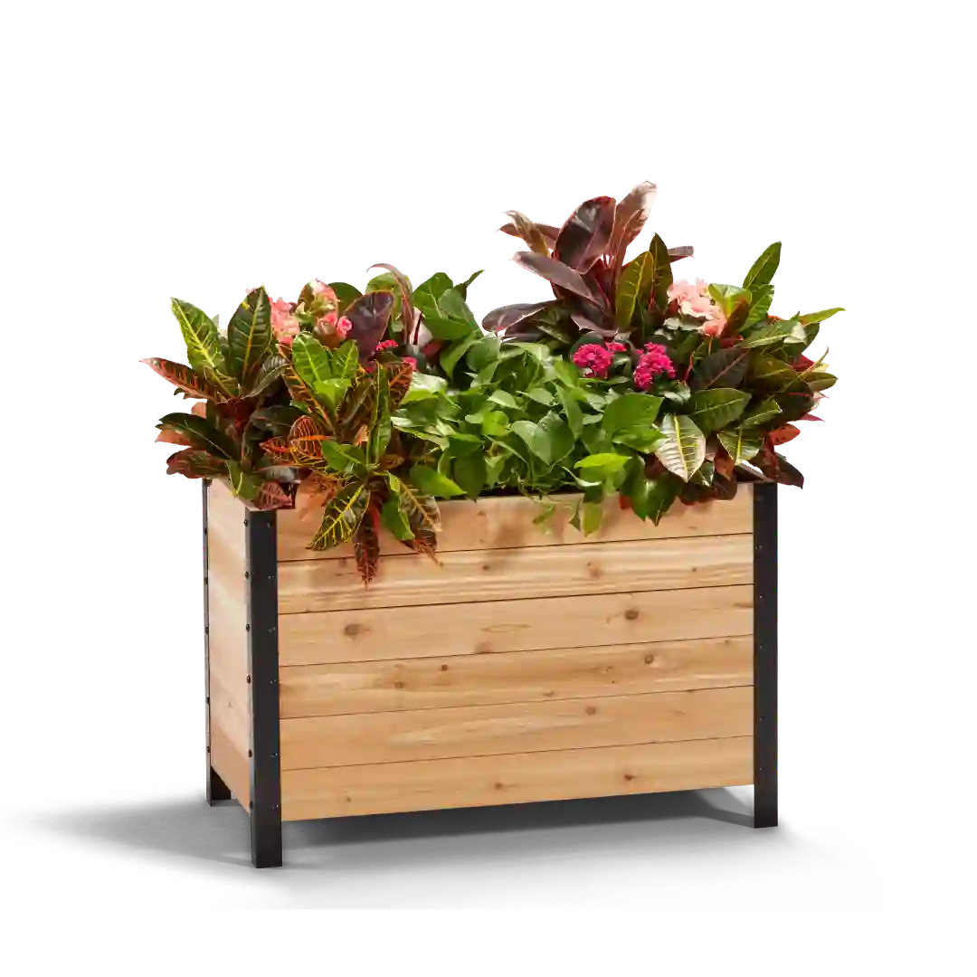 Explore Planter Boxes
