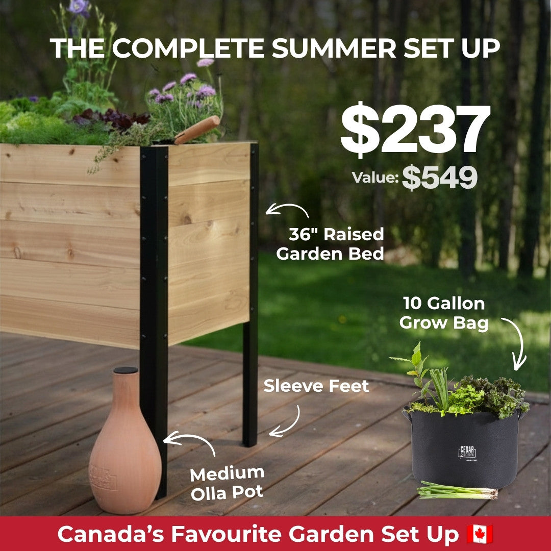 Summer Blowout Bundle