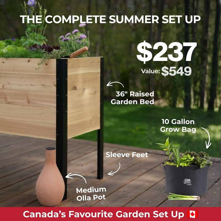 Summer Blowout Bundle