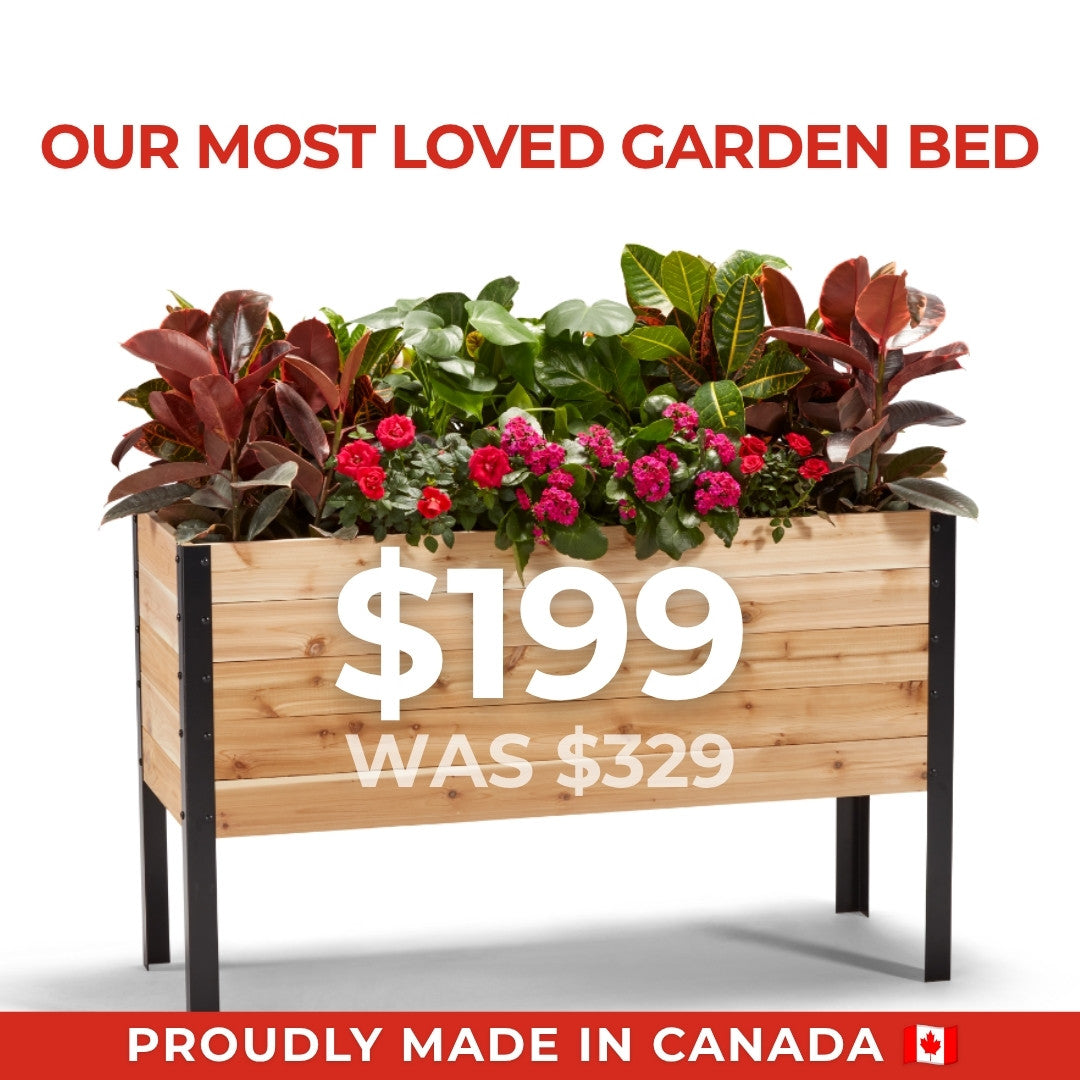 Canada Day | 18" x 48" Raised Garden Bed